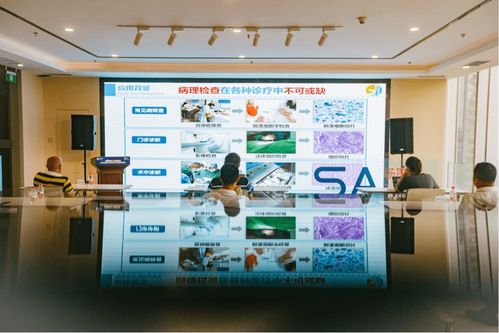 數(shù)字經(jīng)濟產(chǎn)業(yè)賦能 場景匯路演聚焦人工智能雙創(chuàng)服務與智慧教育新機遇