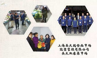 長(zhǎng)寧物業(yè)管理行業(yè)的優(yōu)秀代表 他們是我們的模子